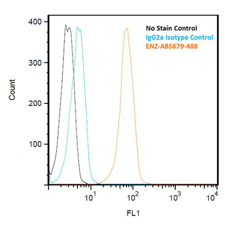KDEL monoclonal antibody (10C3) (DyLight™ 488 conjugate) Flow Cytometry