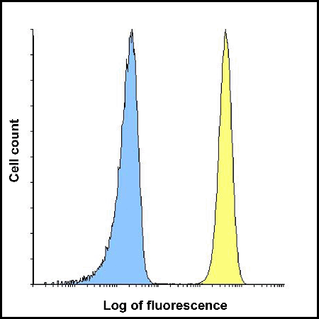 B7-H3 monoclonal antibody (2A7) Flow Cytometry