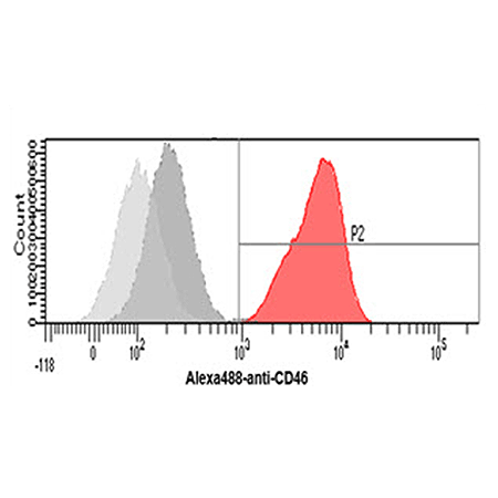 CD46 monoclonal antibody (AT2G9) Flow Cytometry