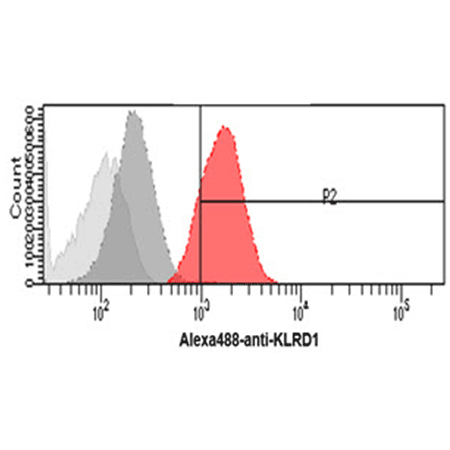 CD94 monoclonal antibody (AT13E3) Flow Cytometry