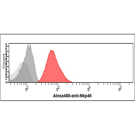 NKp46/NCR1 monoclonal antibody (N1D9) Flow Cytometry HeLa cells