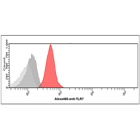 TLR7 monoclonal antibody (4F4) Flow Cytometry