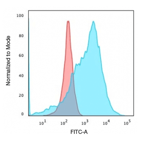 GLUT1 Recombinant monoclonal antibody (3132R) Flow Cytometry