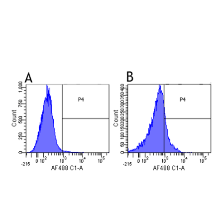 PD-L1 Recombinant monoclonal antibody (YDC 127.1.1) Flow Cytometry lymphocytes