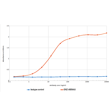 Tim-1 Recombinant monoclonal antibody (3B3) ELISA