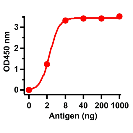 SARS-CoV spike polyclonal antibody ELISA