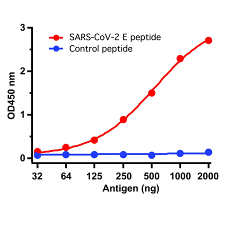 SARS-CoV-2 (COVID-19, 2019-nCoV) envelope polyclonal antibody ELISA