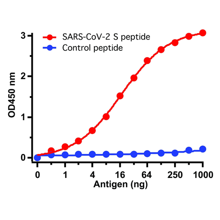 SARS-CoV-2 (COVID-19, 2019-nCoV) spike polyclonal antibody ELISA