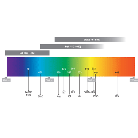 EQ1 NHS ester quencher-dye-pair