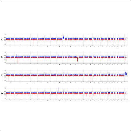CYTAG® SuperCGH Labeling Kit dup_dels