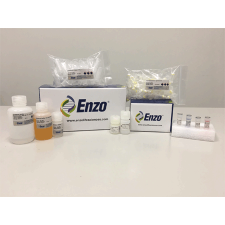 CYTAG® SuperCGH Labeling Kit Kit box image