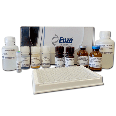 AMP'D® HSP70 high sensitivity ELISA kit Kit box image