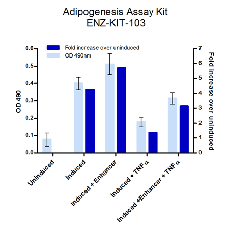 Adipogenesis assay kit typical_results