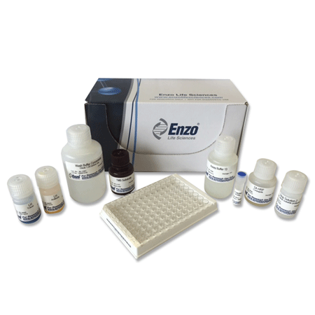 LH ELISA kit Kit box image