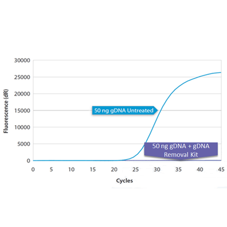 gDNA removal kit Fig1