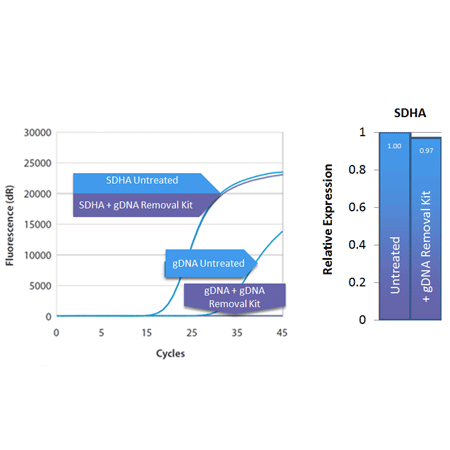 gDNA removal kit Fig2