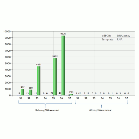 gDNA removal kit Figure 3 DNA