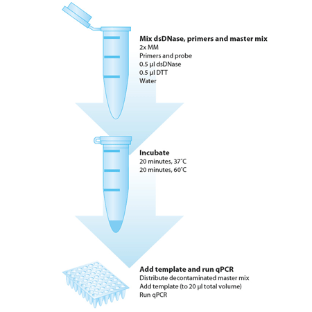 PCR decontamination kit Workflow
