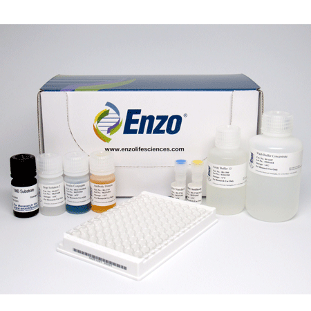 Insulin ELISA kit Kit box image
