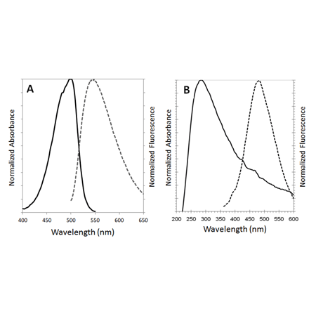 CYTO-ID® Autophagy detection kit 2.0 Spectra