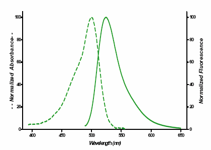 SEEBRIGHT™ Green 500 dUTP Excitation and emission