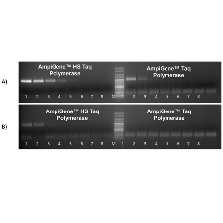 AMPIGENE® HS Taq DNA Polymerase gel