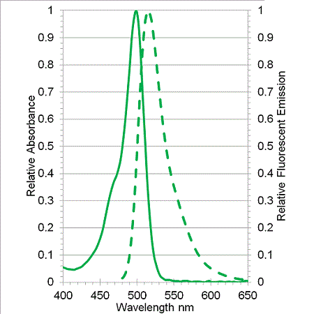 FLUOFORTE® Calcium assay kit Excitation and emission