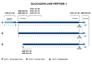 GLP-1 (7-36, amide) monoclonal antibody (5B10) image