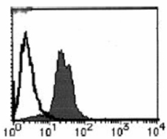 Cyclin D1 monoclonal antibody (5D4) Flow Cytometry
