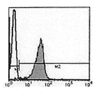 DNA-topoisomerase II α monoclonal antibody (1C5) Flow Cytometry