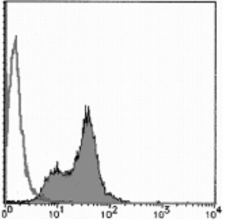 BrdU monoclonal antibody (2B1) Flow Cytometry