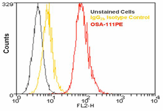 HO-1 monoclonal antibody (HO-1-2) (PE conjugate) Flow Cytometry
