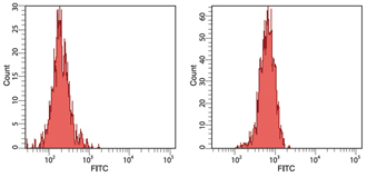 HO-1 monoclonal antibody (HO-1-2) Flow Cytometry