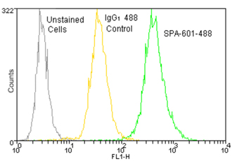 Mouse IgG1 isotype control, monoclonal antibody (MOPC-21) (DyLight™ 488 conjugate) Flow Cytometry