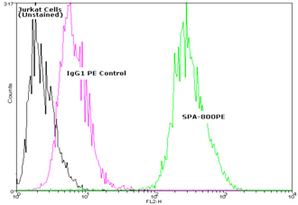 HSP27 monoclonal antibody (G3.1) (PE conjugate) Flow Cytometry