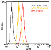 HSP70/HSP72 monoclonal antibody (C92F3A-5) (PE conjugate) Flow Cytometry