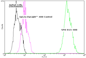 HSC70/HSP73 monoclonal antibody (1B5) (DyLight™ 488 conjugate) Flow Cytometry