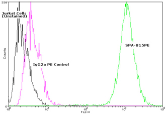 HSC70/HSP73 monoclonal antibody (1B5) (PE conjugate) Flow Cytometry