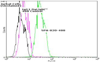 HSC70/HSP70 monoclonal antibody (N27F3-4) (DyLight™ 488 conjugate) Flow Cytometry