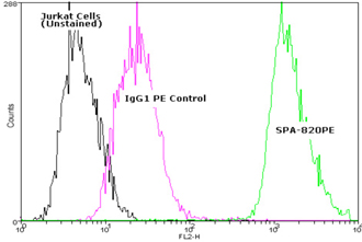 HSC70/HSP70 monoclonal antibody (N27F3-4) (PE conjugate) Flow Cytometry