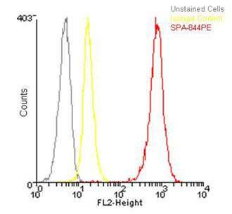 HSP90β polyclonal antibody (PE conjugate) Flow Cytometry
