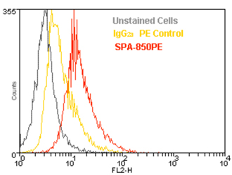 Grp94 monoclonal antibody (9G10) (PE conjugate) Flow Cytometry