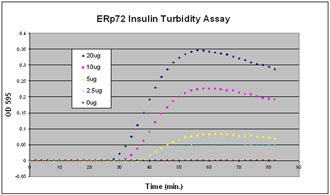 ERp72 (human), (recombinant) (His-tag) Activity assay