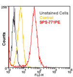 HSP90α polyclonal antibody (PE conjugate) Flow Cytometry