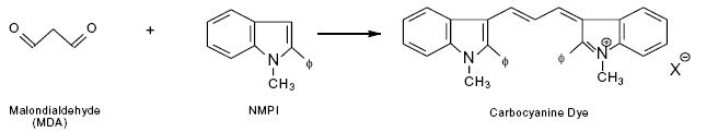 ALDetect™ (MDA-specific) Lipid Peroxidation assay kit image