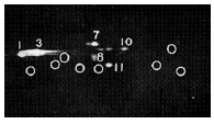 Proteasome 20S α1, 2, 3, 5, 6 & 7 subunits monoclonal antibody (MCP231) Western Blot