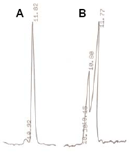 Ubiquitin-AMC image