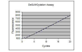 NEDD8 (human), (recombinant) (biotin conjugate) Western blot