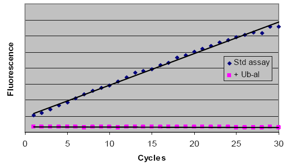 Ubiquitin aldehyde, (recombinant) image