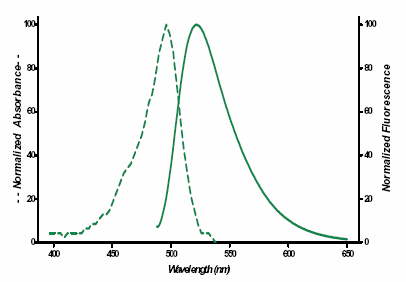 Fluorescein-12-ddUTP image
